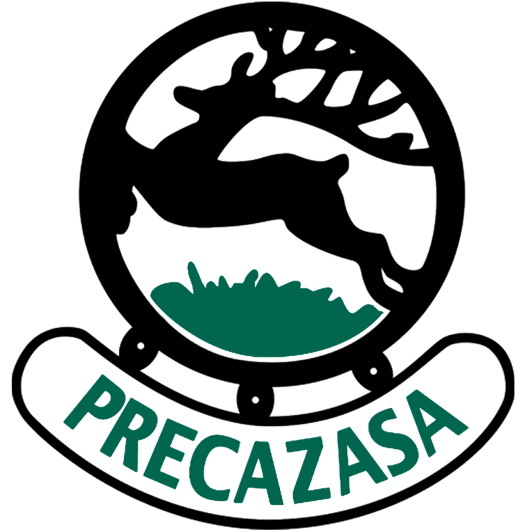 Precazasa screenshot