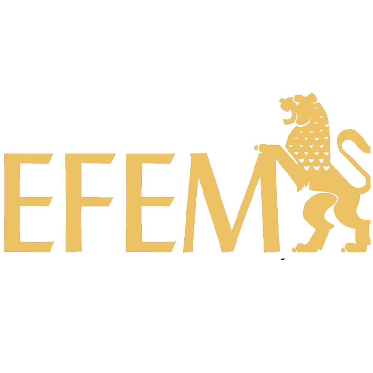 EFEM screenshot